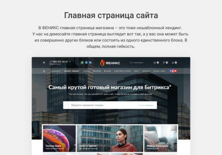 ФЕНИКС — безлимитный конструктор интернет-магазинов